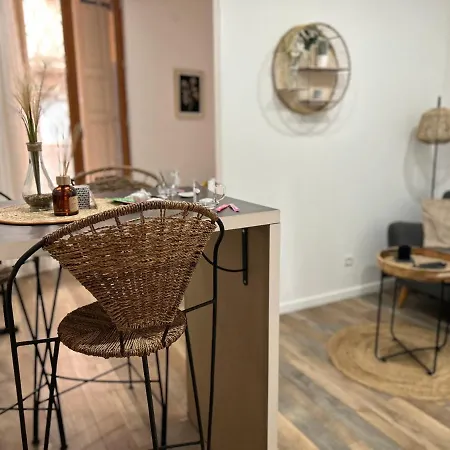 Studio Charmeur Au Coeur De * Perpignan